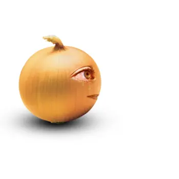 Onion (2)-8360214-33769.webp